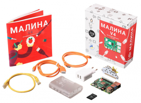 Малина v4 (2 ГБ), образовательный конструктор
